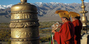 Ladakh Special