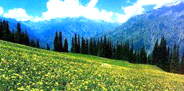 Scenic Kashmir