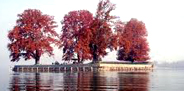 Crown Of Kashmir