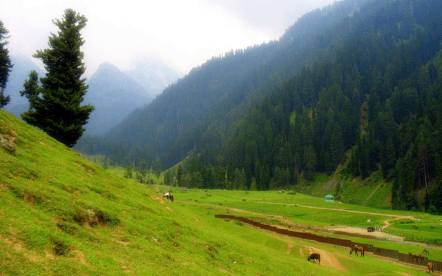 Pahalgam